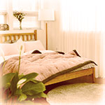 秋冬の快適寝具特集