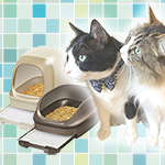 愛猫のトイレ・お手入れ特集