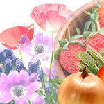 メーカー直送 園芸用土特集