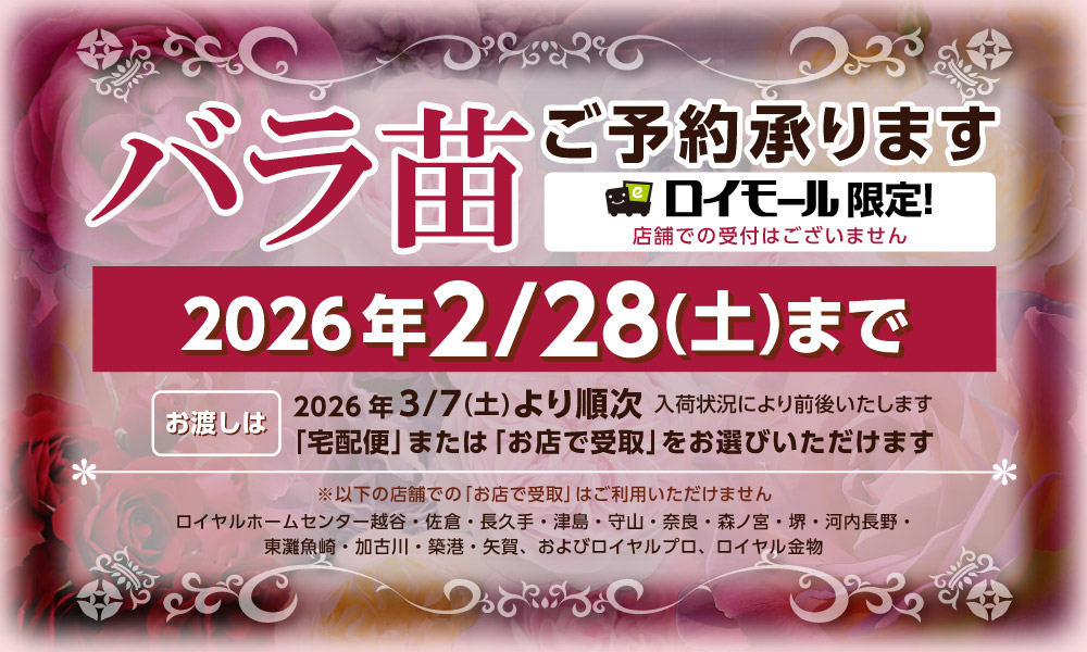 バラ苗予約